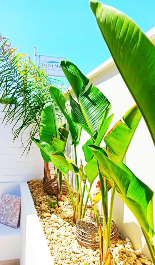 B&B Suites Via Del Mare Presicce Bagian luar foto